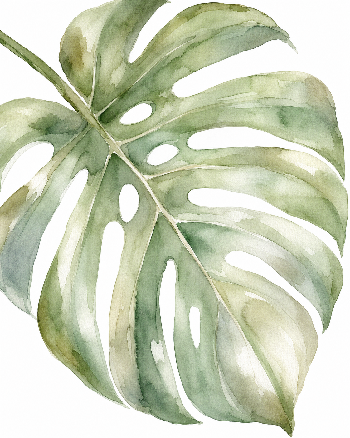 Monstera Leaf Watercolor